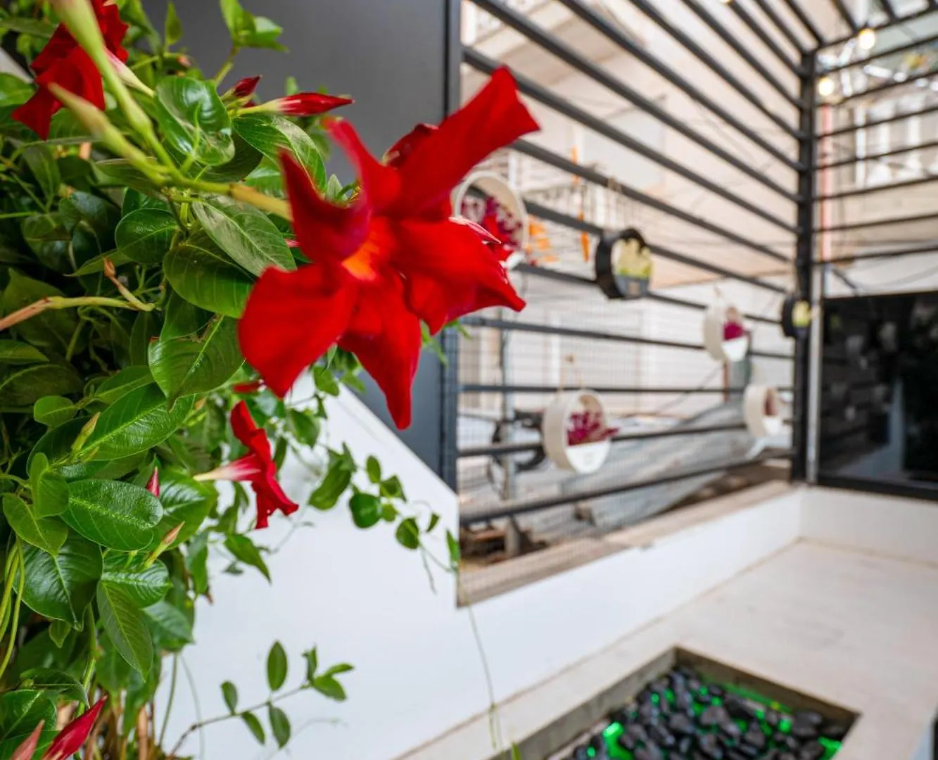 Mato Luxury Apartments Saranda